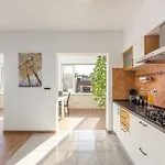 Spacious 3-br - Free Bikes & Parking