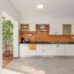 Spacious 3-br - Free Bikes & Parking